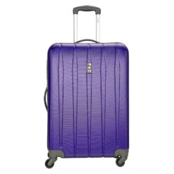 DELSEY Paris Volume DLX 25" 4-Wheel Medium Luggage 14 DELSEY Paris Volume DLX 25" 4-Wheel Medium Luggage -Luggage Promotion Store 0496ff33b1ca0b11716da8dc9453bdcd542d4260bb3969084d3ee73ffb837d9c