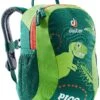 Deuter Pico Kid's Backpack