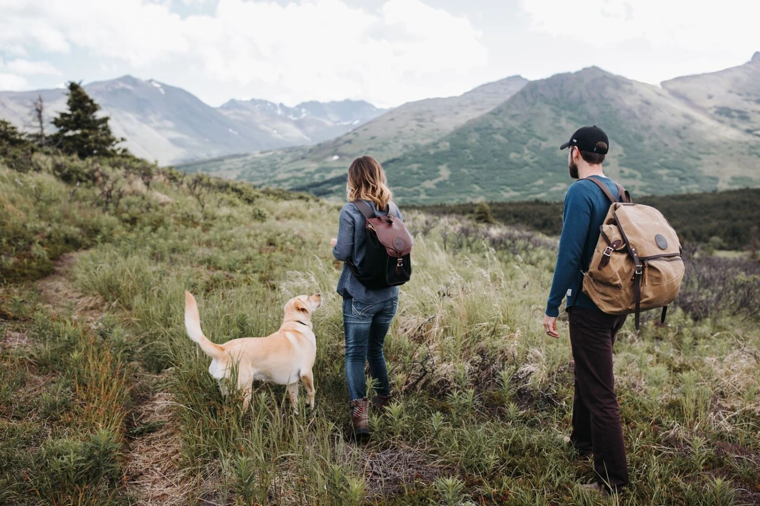 Duluth Pack Rucksack Backpack 2 Duluth Pack Rucksack Backpack - Image 2