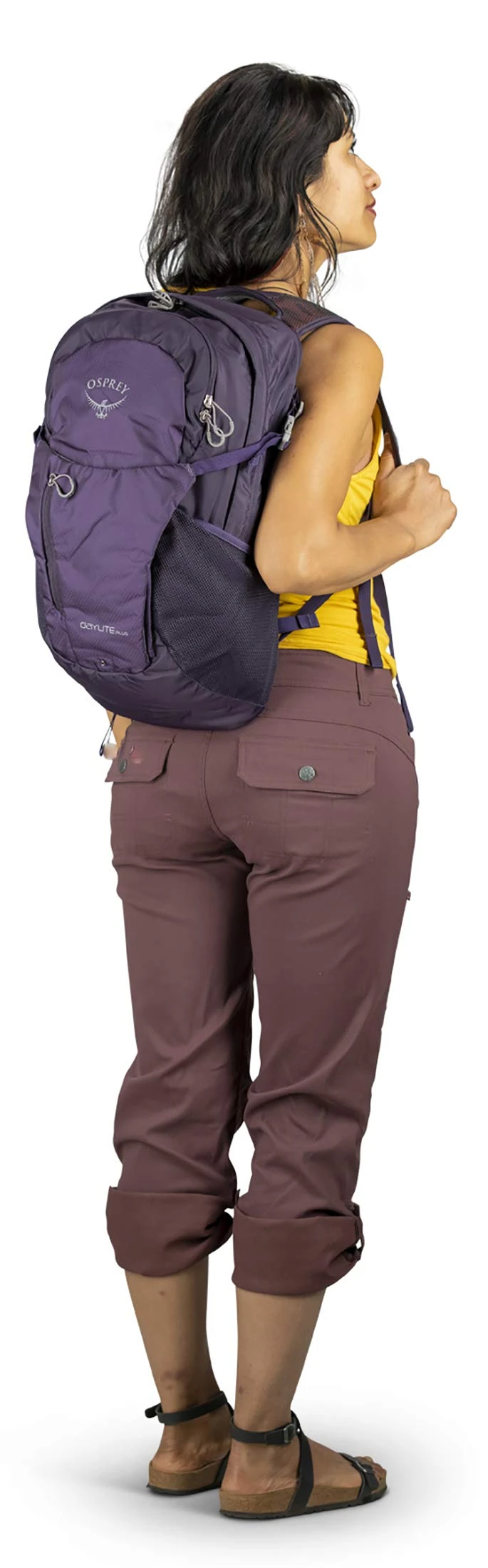 Osprey Packs Daylite Plus 12 Osprey Packs Daylite Plus - Image 12