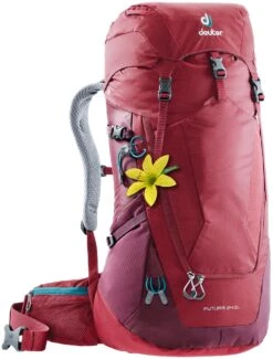 Deuter Futura 24 SL 9 Deuter Futura 24 SL -Luggage Promotion Store 90e7045701cc11aeac8e425be75a7e86e4b800db57d6ff6993d6ead41810a486