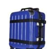 VinGardeValise Petite Wine Travel Suitcase All-purpose